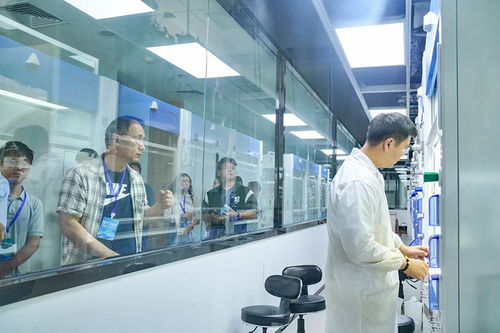 四川 稅引擎 驅(qū)動新質(zhì)生產(chǎn)力加速形成