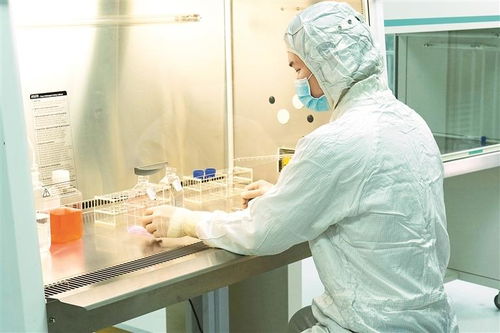 茵冠生物一款干細(xì)胞制品獲評省名優(yōu)高新技術(shù)產(chǎn)品