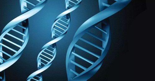 十大科技帶來(lái) 人類(lèi)2.0 品讀